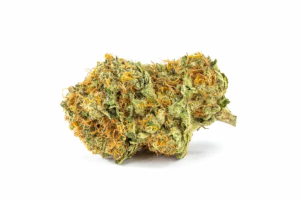 Gorilla Glue, product