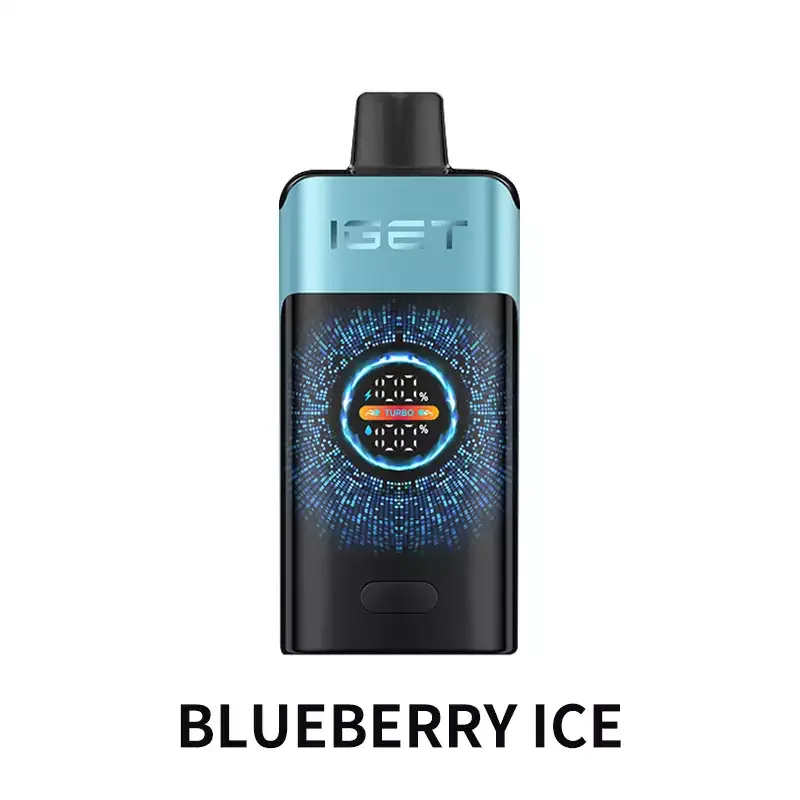 Blueberry Ice IGET One 12000 Puffs, disposable vape