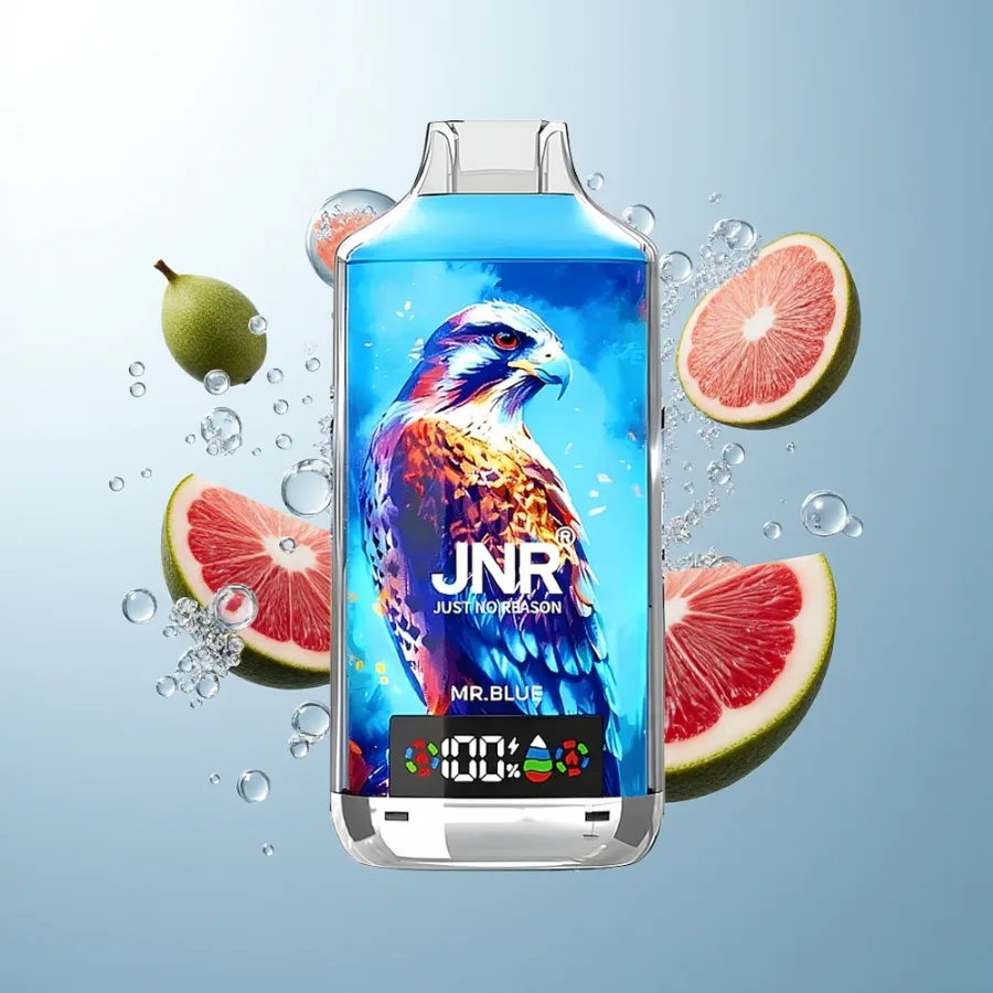 JNR Falcon X 18000 Puffs 24ml Dual Mesh Mr. Blue, disposable vape