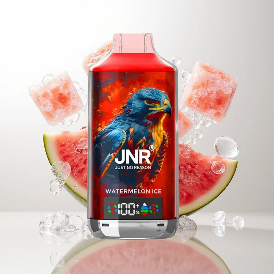 JNR Falcon X 18000 Puffs Dual Mesh Coil Watermelon Ice, disposable vape
